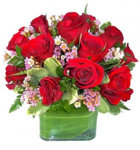 JUST SWEETNESS 