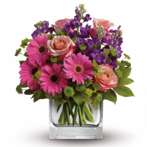 Flora  $48.95, $55.95, $65.95