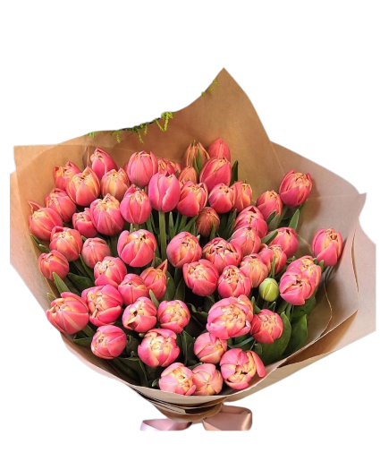 Just tulips Spring flowers