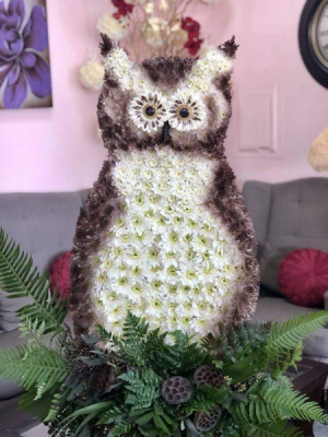 Owl Miss you 