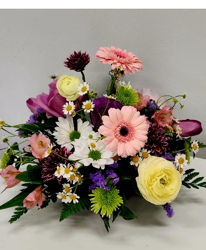 K113Deluxe K113D Hop Into Spring