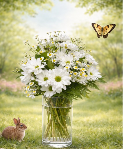 K016 Fresh as a Daisy Vase of Daisies in Park Ridge, IL - KIKOS
