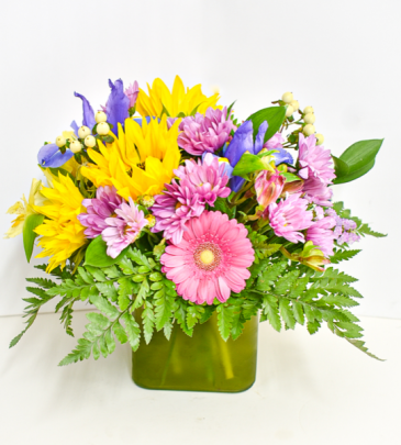 Baby Girl Designers Choice  in Cody, WY | BEARTOOTH FLORAL & GIFTS