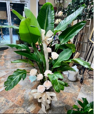 Keepsake Large plant in metal pot 