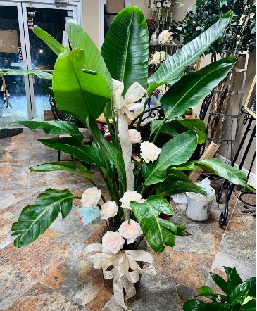 Keepsake Large plant in metal pot  in Chalmette, LA | BRITTNEY RAY'S FLORIST
