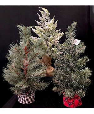 Keepsake trees 