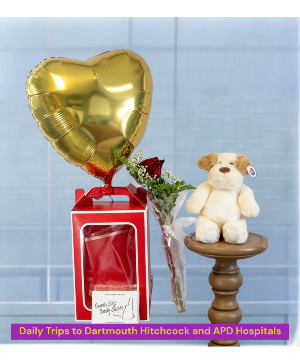 Kiddo's Puppy Gift Set