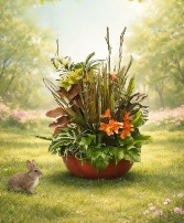 Kiko's Dish Garden Green Plants