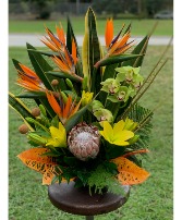 KING TROPICAL 