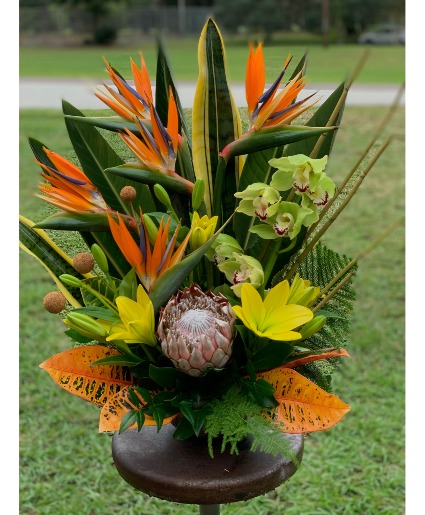KING TROPICAL 