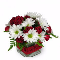 "RED  AND WHITE"(E) FLOWERS ARRANGED IN A VASE  CUTE RIBBON DETAIL!!