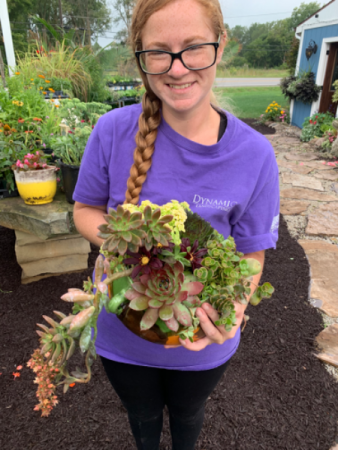 Kolorado Kati Colorful southwestern succulents