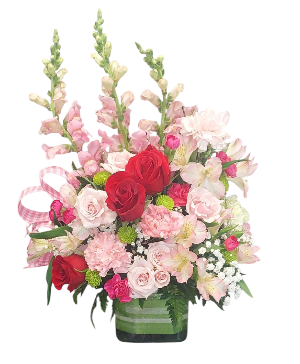 La Chica Cube Arrangement