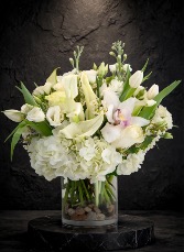 Blissful Elegance 