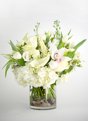 Blissful Elegance 