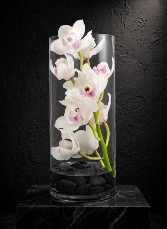  La Mia Floritura 