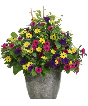 Lady Luck- 12" Floor Pot 
