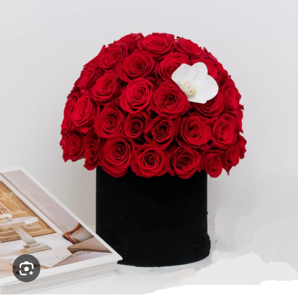 L'amour Signature VIOR Box (Pick Your Color) 