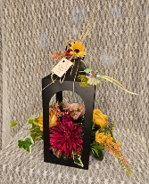 Lantern Cage w/ Hummingbird & Silks 