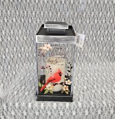 Lantern - Cardinals Appear 