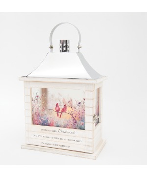 Lantern Cardinals Lantern