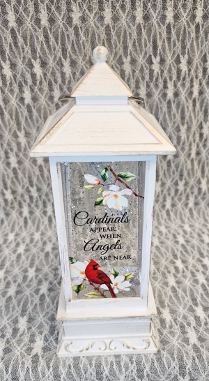 Lantern, Light Up - Cardinals Appear 