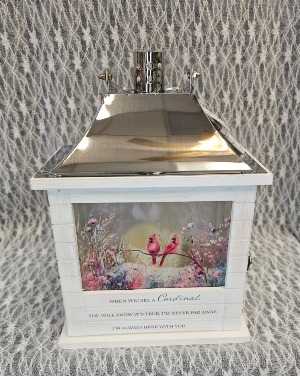 Lantern - When You See a Cardinal 