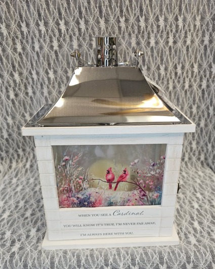 Lantern - When You See a Cardinal 