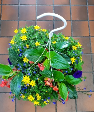 Large 14 inch Hanging Basket Outdoor Blooming