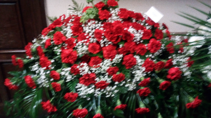 Large Cascake spread Red carnation  A40