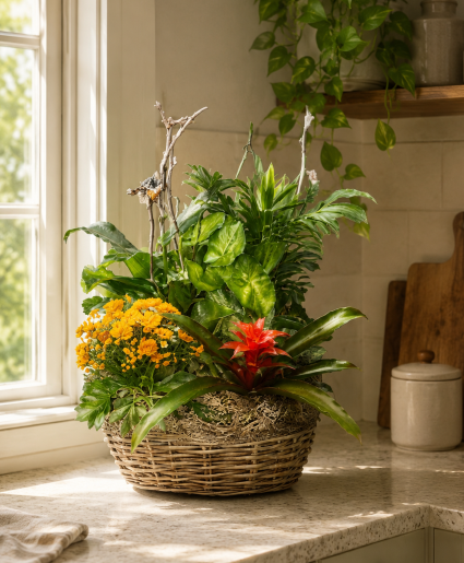 Large European Garden Green and Blooming Plants