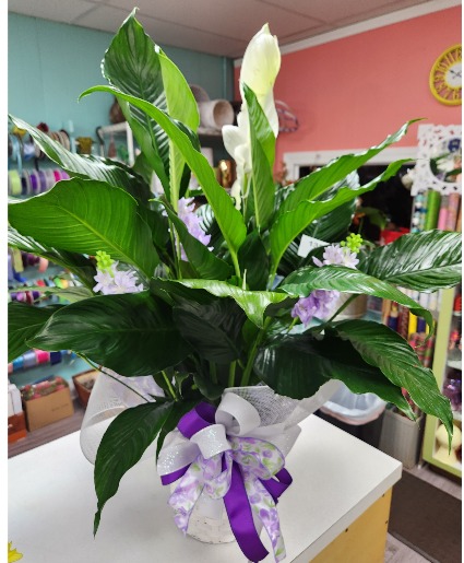 Large Floor Peace Lily with faux flowers Accent Colors Vary