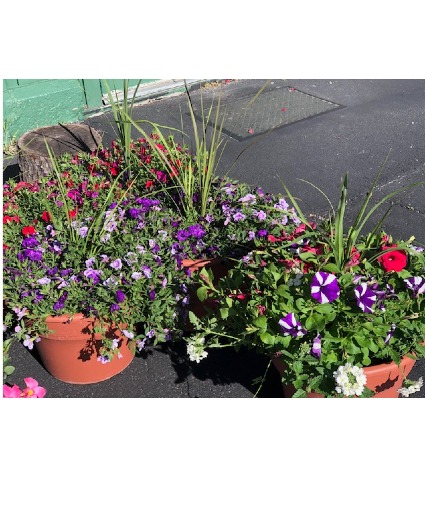 Large Patio Planter 