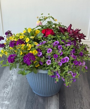 Large Patio Planter 