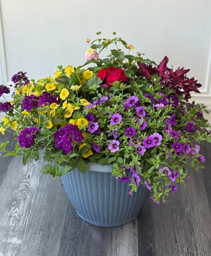 Large Patio Planter 