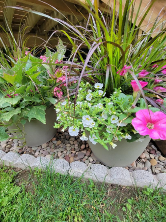  Large Patio Pots                                  Blooming plants