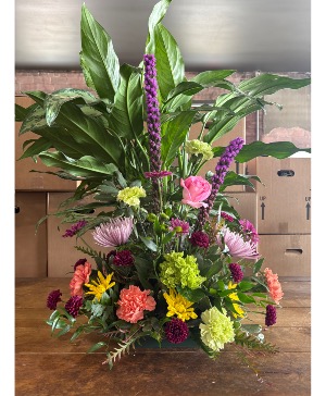 Large plant with flowers 