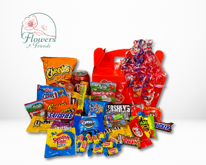 Large Snack Pack Snack Packs