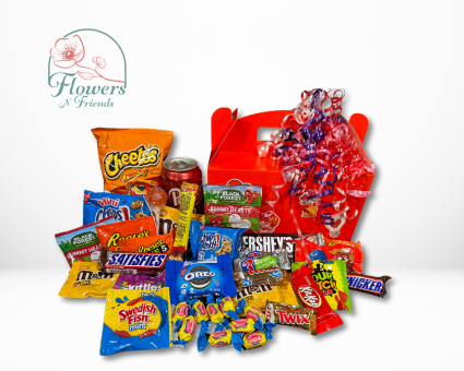 Large Snack Pack Snack Packs