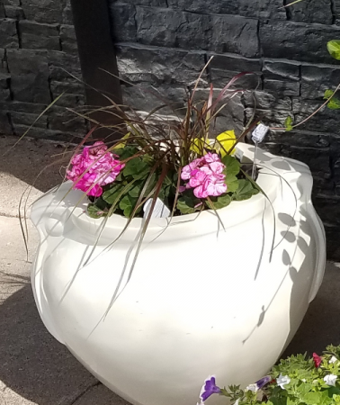 Large White Planter 