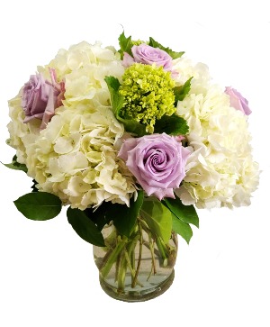Lavender Spice Cut Flowers