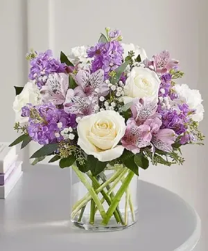 Lavender - 00108 - 174292 