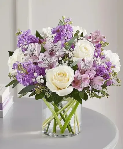 Lavender - 00108 - 174292 