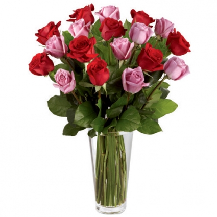 Lavender and Red Roses 