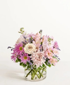 Lavender Bliss  spring and easter lavender 