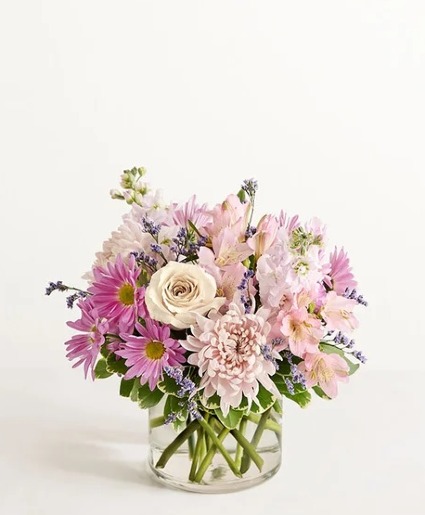 Lavender Bliss  spring and easter lavender 
