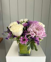 Lavender Delight 