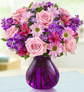 Lavender Dreams 