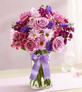 Lavender Dreams 