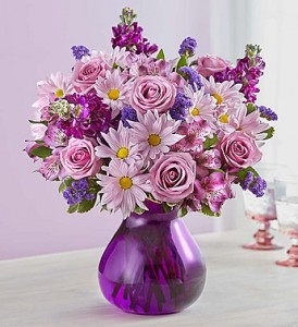 Lavender Dreams 